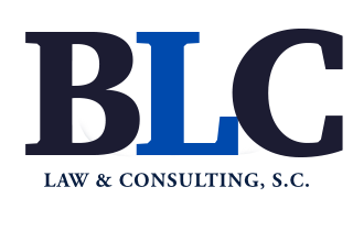 Bruce Levine Law & Consulting