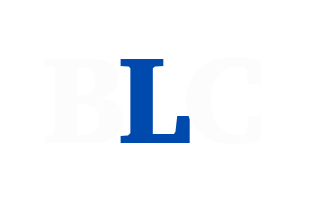 Bruce Levine Law & Consulting